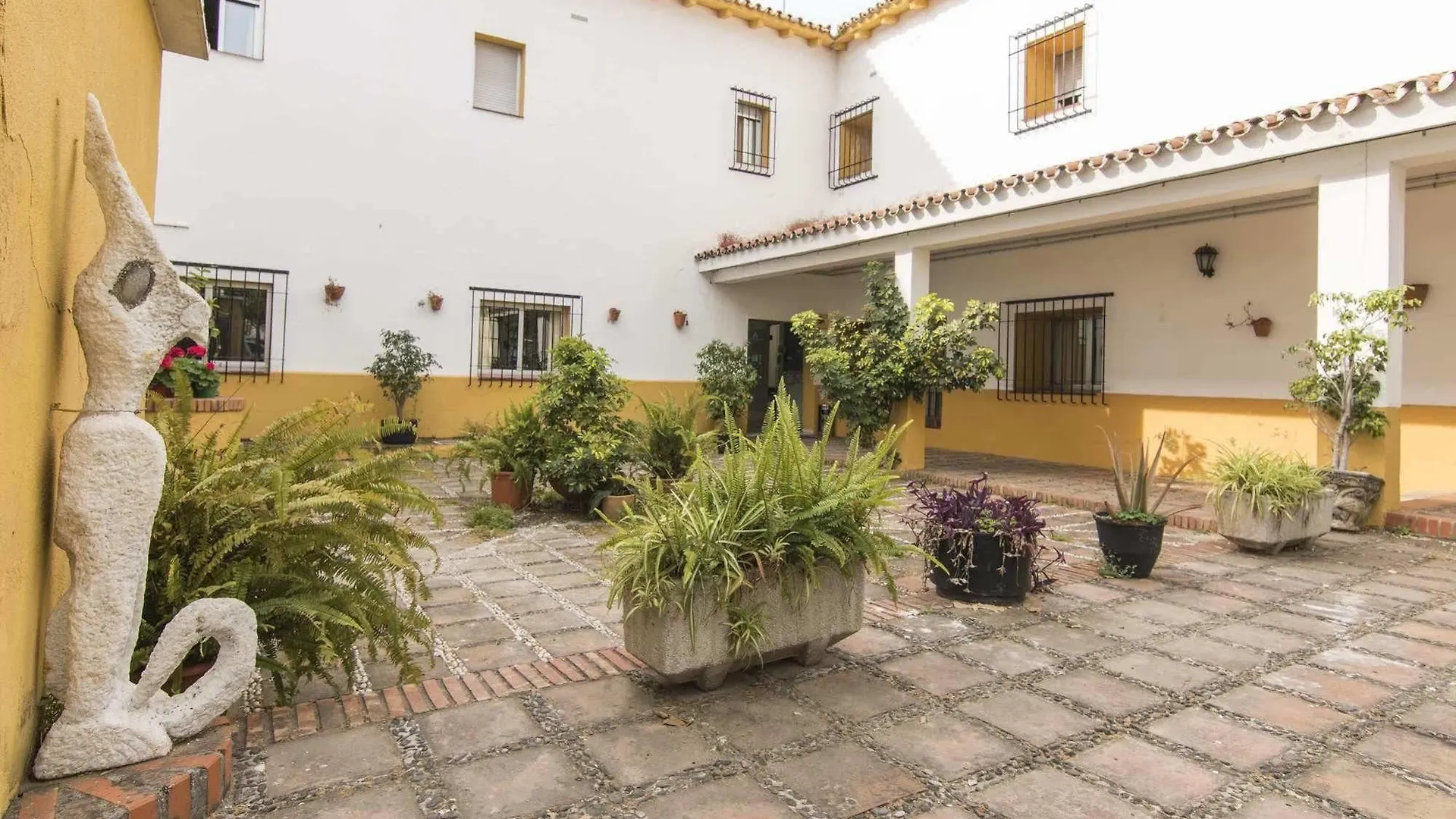 Hotel Marbella Inturjoven Youth Hostel